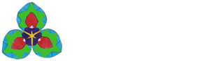 Logo Light